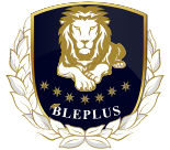 Bleplus Marketing Agency